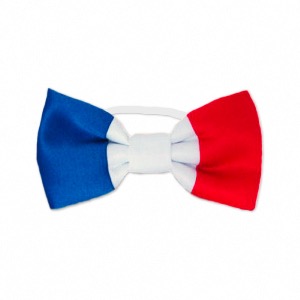 Noeud Papillon Fan des Bleus