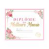 Cadre diplôme Meilleure Mamie