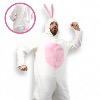 Costume Super Lapin