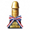 Trophée Zizi d'Or