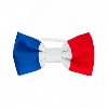 Noeud Papillon Fan des Bleus